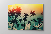 Obraz Silueta paliem